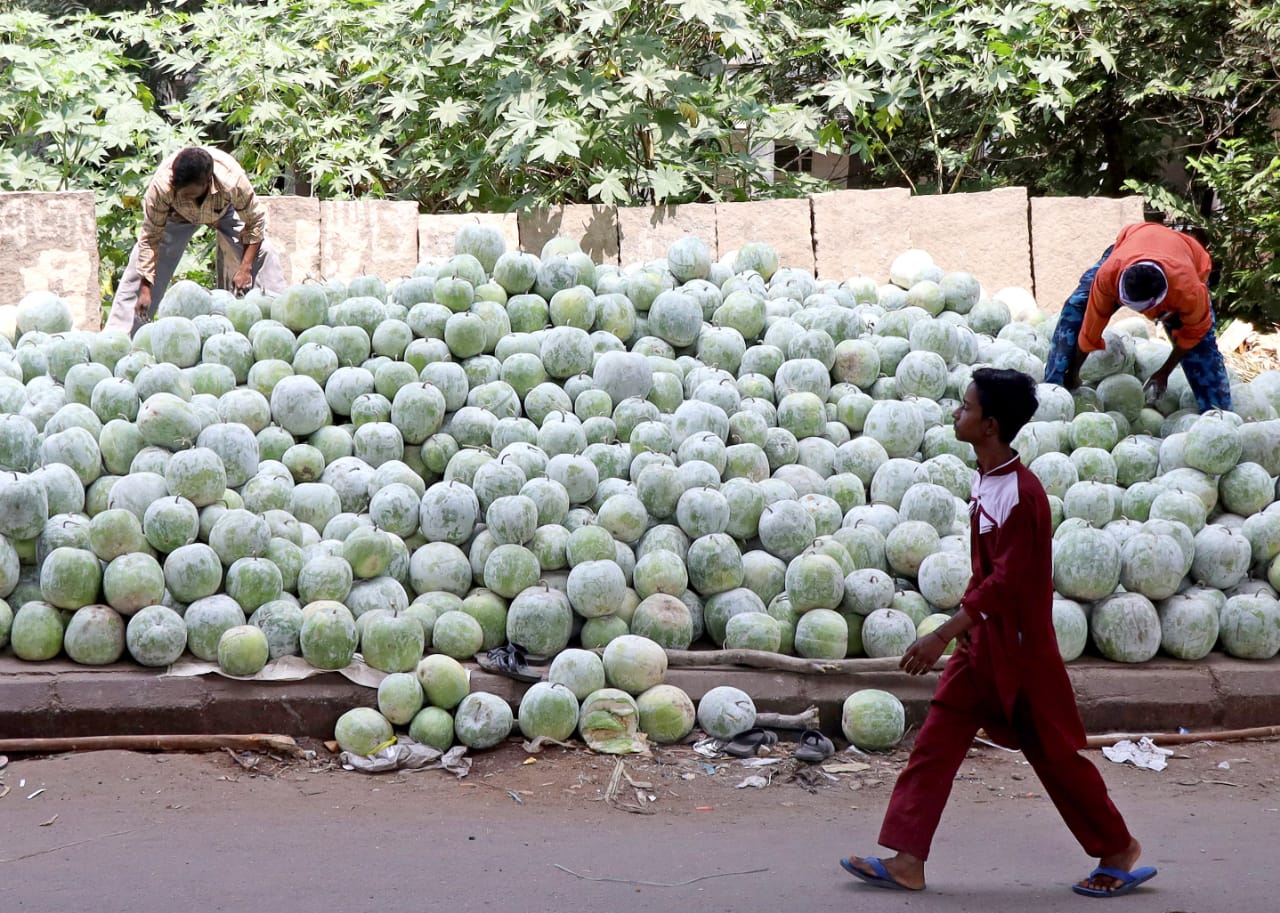 ಬೂದು ಕುಂಬಳಕಾಯಿ