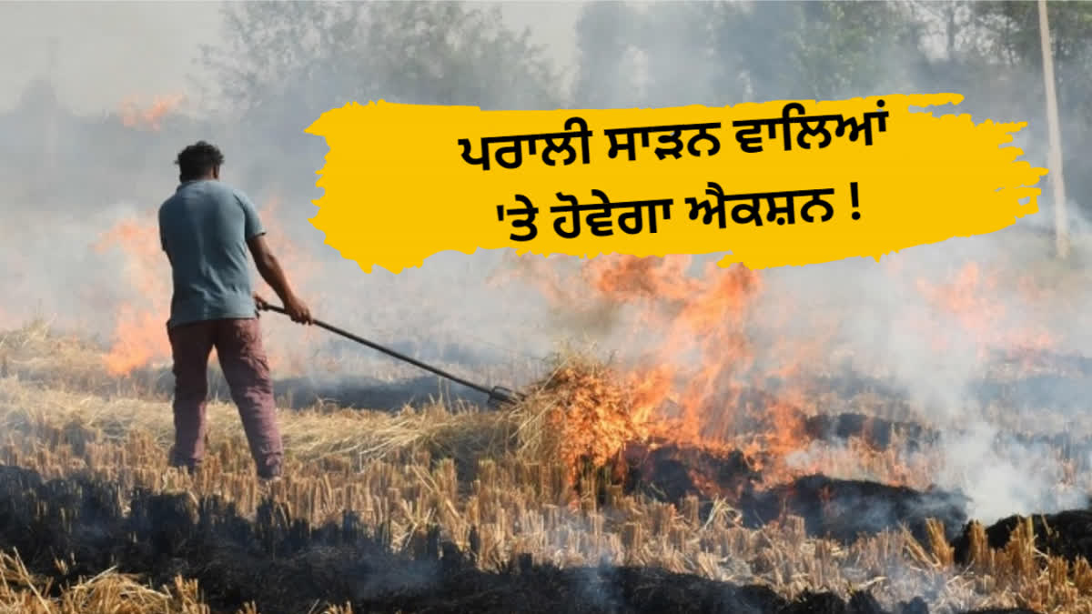 Strict action against stubble burners in Punjab, 874 FIRs registered, Rs 10.55 lakh fined