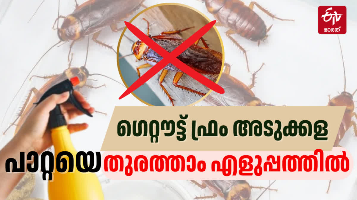 COCKROACH  COCKROACH PREVENTION TIPS  പാറ്റയെ തുരത്താനുള്ള മാര്‍ഗങ്ങള്‍  പാറ്റയെ തുരത്താം സിമ്പിളായി