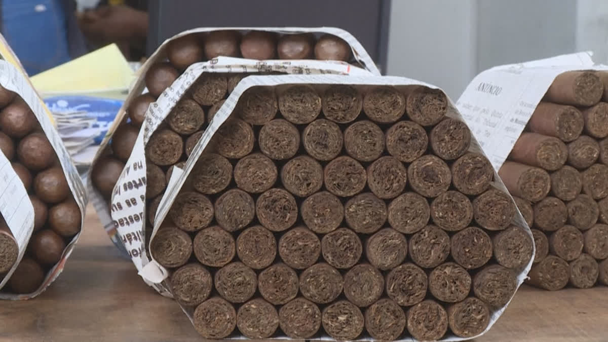 How Premium African cigars Are Made In Mozambique?