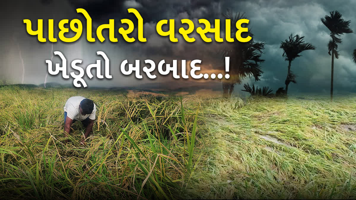 દક્ષિણ ગુજરાતના ખેડૂતોના મોઢે આવેલો કોળિયો છીનવાયો