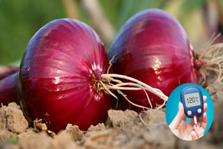 Allium cepa is a panacea for diabetes