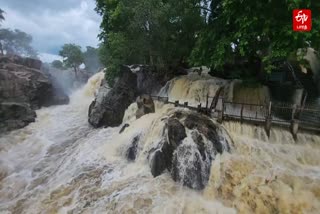 ஒகேனக்கல் அருவி