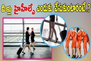 REASONS for AIR HOSTESS WEAR HEELS