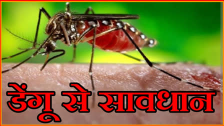 Dengue figures rising in Hisar