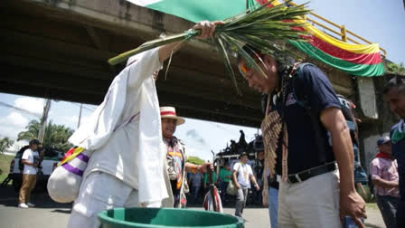 COP16, the United Nations summit on biodiversity, officially began on Monday in the Colombian city of Cali, where 196 member countries of the Convention on Biological Diversity will meet until November 1 to agree on a roadmap for the preservation of nature between now and 2030.