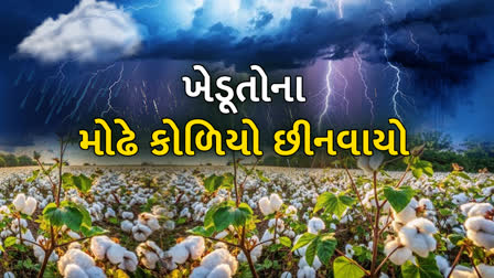 વરસાદના મારના કારણે ખેડૂત મુશ્કેલીમાં, ખેડૂતોના મોઢે આવેલો કોળીયો છીનવાયો