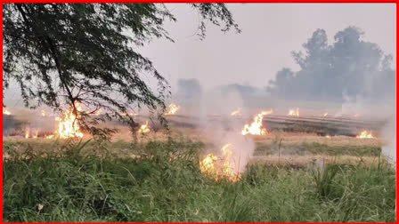 Haryana stubble burning