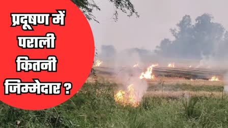 STUBBLE BURNING REDUCED IN HARYANA