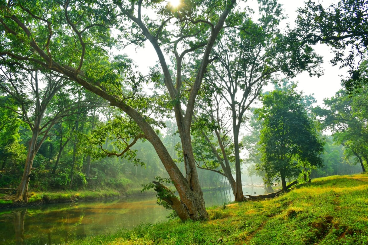 Butterfly meet in Barnawapara Sanctuary