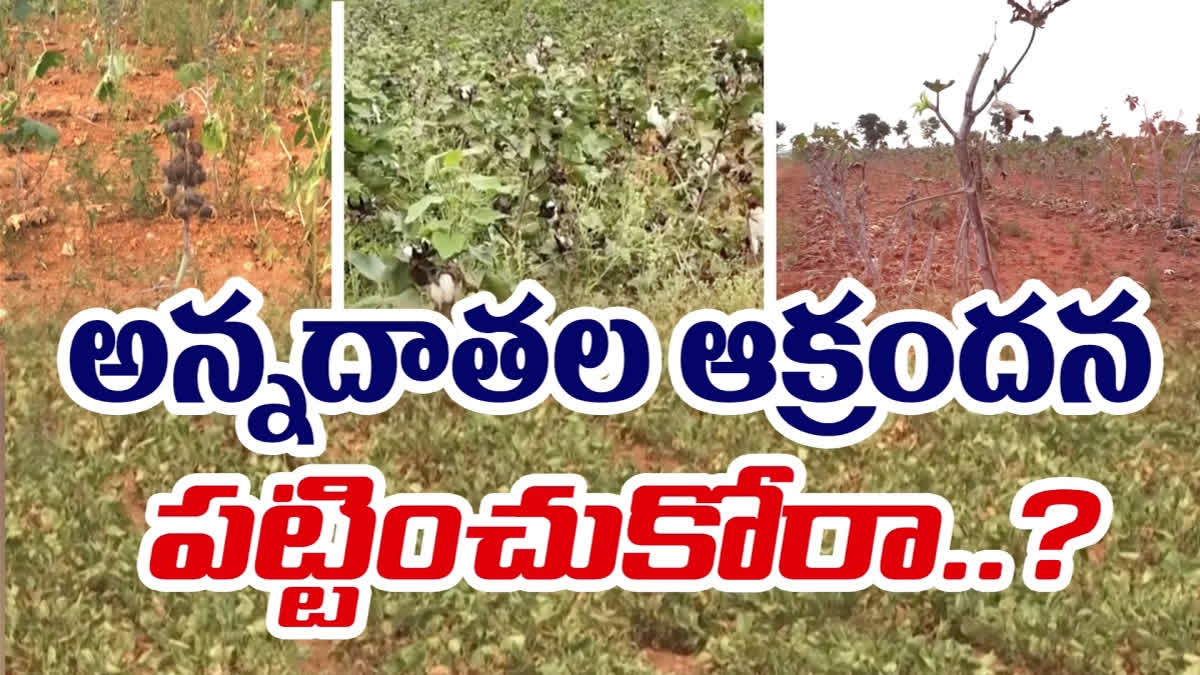 Officials_Neglect_on_Drought_Conditions_in_AP