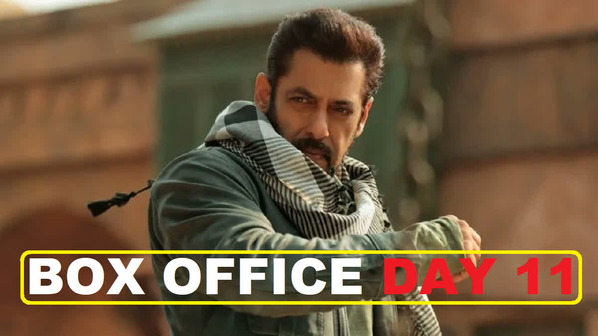 Tiger 3 Day Box Office