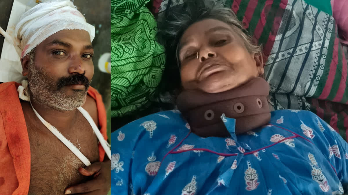 Sons who attacked the mother in Thoothukudi