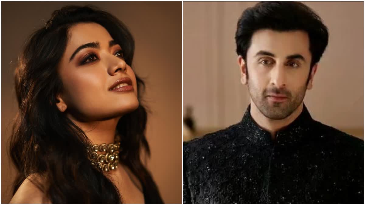 Rashmika Mandanna Ranbir Kapoor