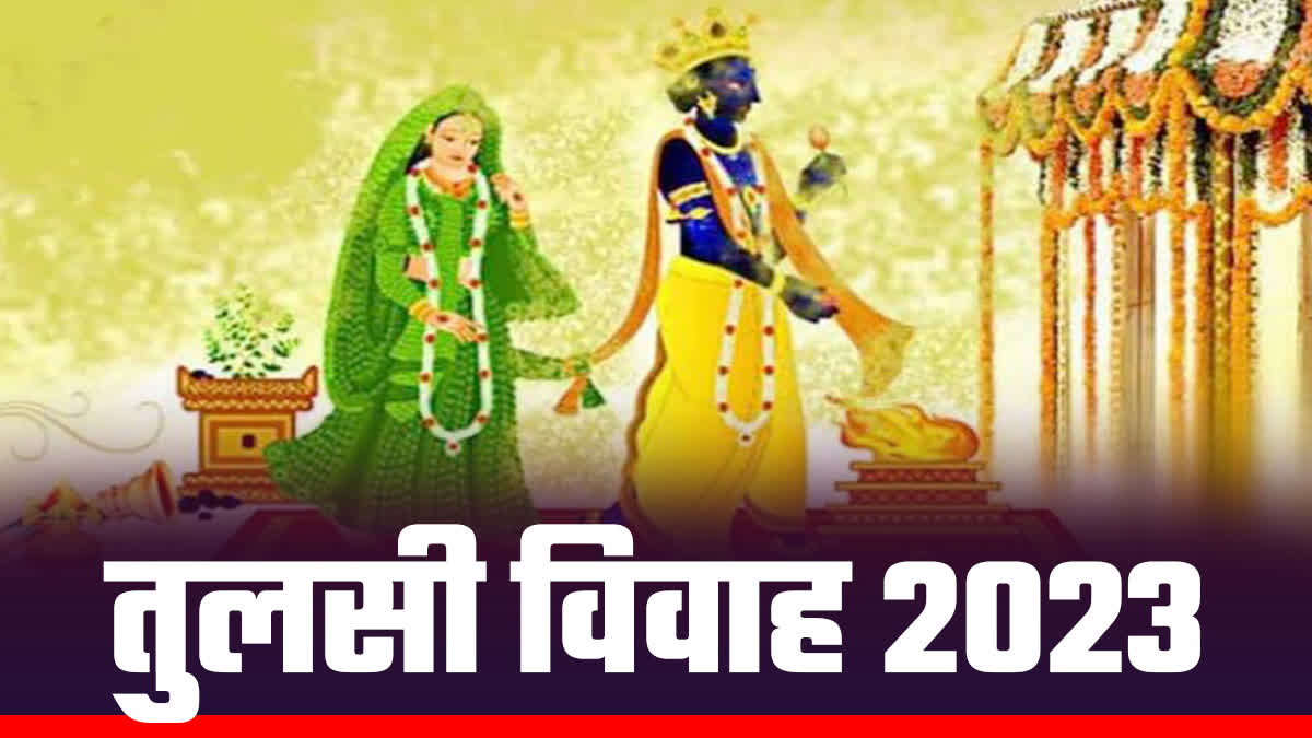 Tulsi Vivah 2023: एकादशी के दिन तुलसी विवाह का महत्व, जानिए शुभ मुहूर्त ...