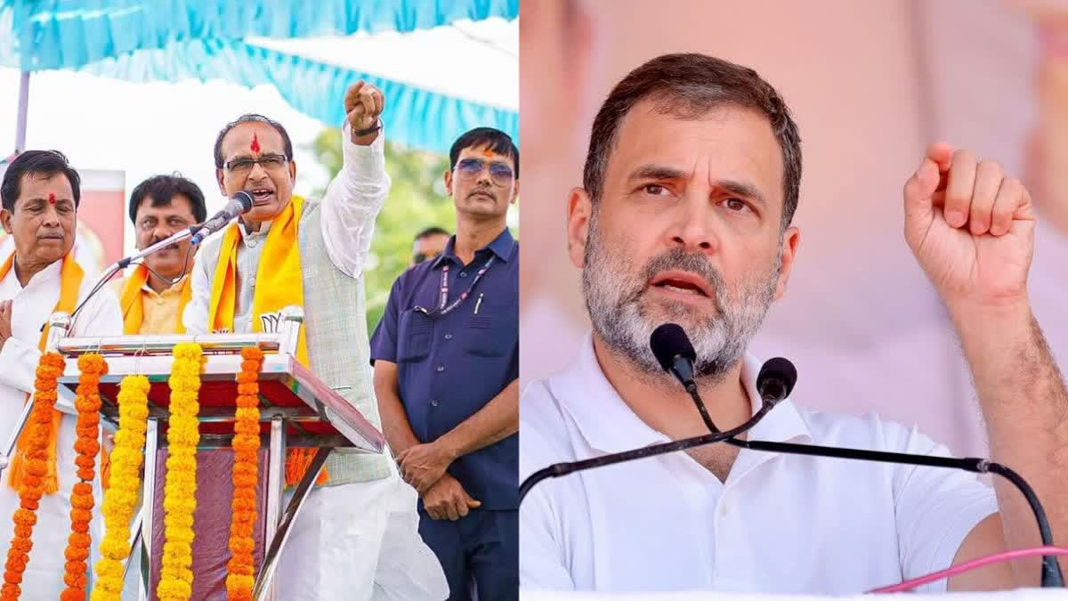 Shivraj Singh hits back at Rahul over his 'Panauti' remark, calls 'a national shame'