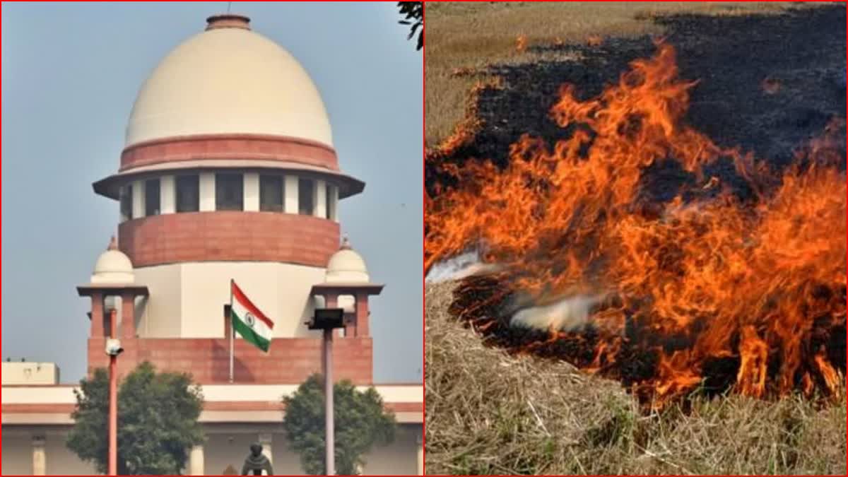 Supreme Court On Stubble Burning Cases