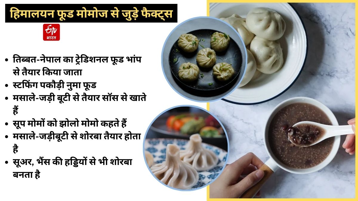 Traditional Food Momos Facts