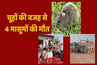 Four children died due to rat disease in Nuh haryana