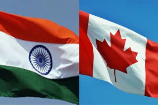India has resumed issuance of electronic visas to Canadian nationals after suspending it for nearly two months following a diplomatic row over Ottawa's accusation of possible Indian government involvement in the murder of a Canadian Sikh separatist leader Hardeep Singh Nijjar. Wednesday's resumption indicates that the Indian side wants to de-escalate the tension with Canada.