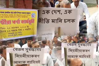 TET Teacher Protest Nalbari