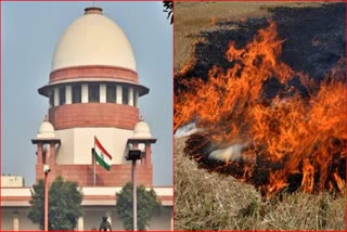 Supreme Court On Stubble Burning Cases