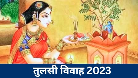 Tulsi vivah 2023