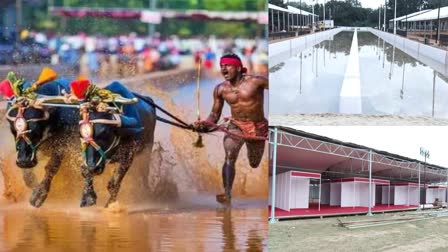 Etv Bharatbangaluru-kambala-namma-kambala-prelude-kudhi-kambala-start-today