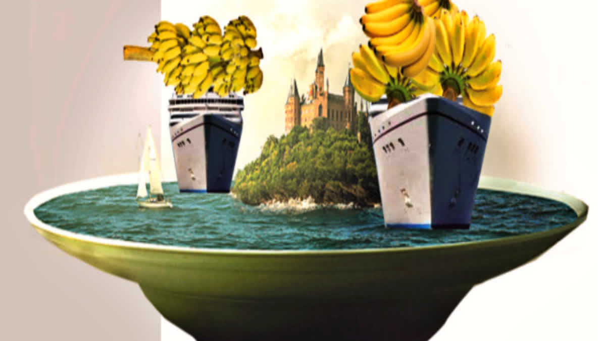 anantapur_bananas_exports_to_arab_countries