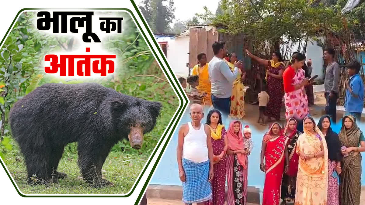 Manendragarh bear Attack