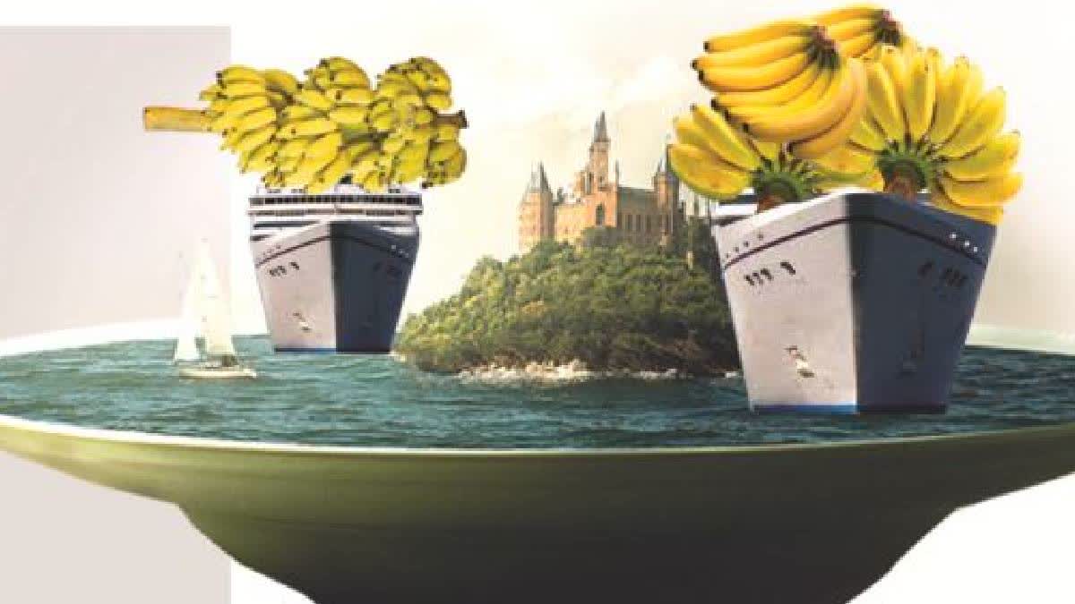 Bananas From Anantapur To Travel By Ships To Arab Countries