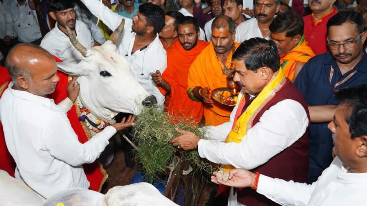 MP First Hitech Cow Shed in Bhopal