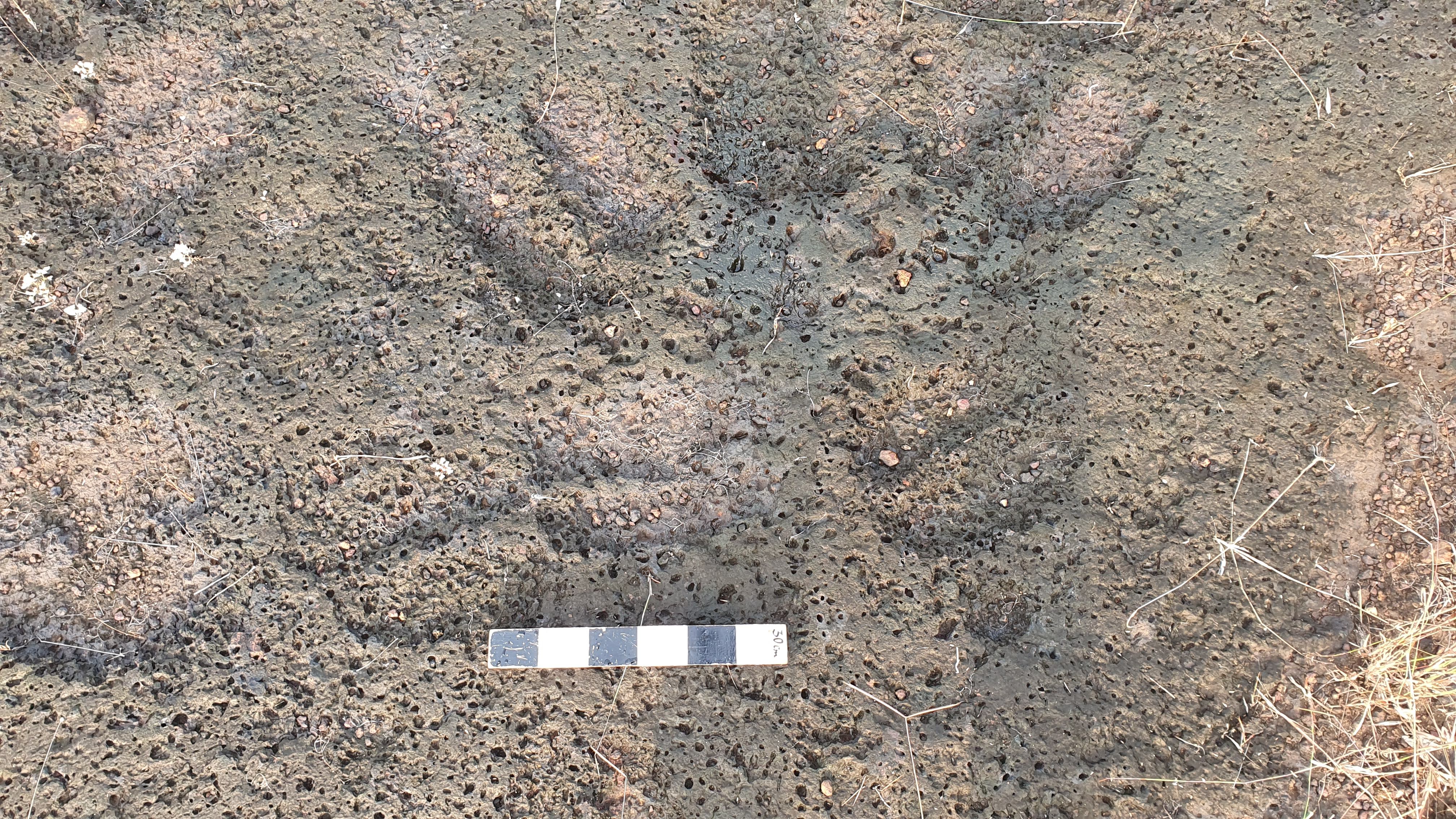 FOOTPRINTS OF MEGALITHIC AGE  ANCIENT FOOTPRINTS FIND KASARAGOD  മഹാശില യുഗത്തിലെ കാല്‍പാദങ്ങള്‍  മഹാശില യുഗത്തിലെ ശേഷിപ്പ്