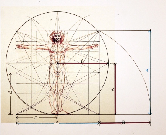 Da Vinci's Vitruvian Man has some dimensions that align with golden ratios