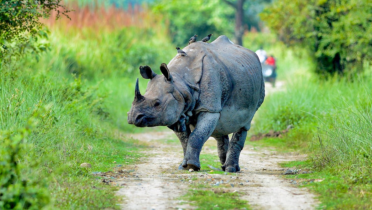 List of the Top Pollution-Free Places in North East to Visit During Winter with Low AQI Levels