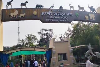 INDORE ZOO PLAN FOR WINTER