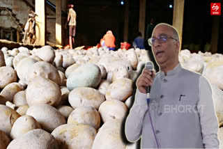 POTATO EXPORTS STOP BY GOVT