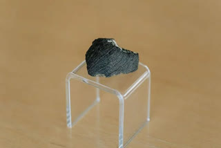 Lafayette Meteorite