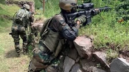 sukma encounter several naxals killed