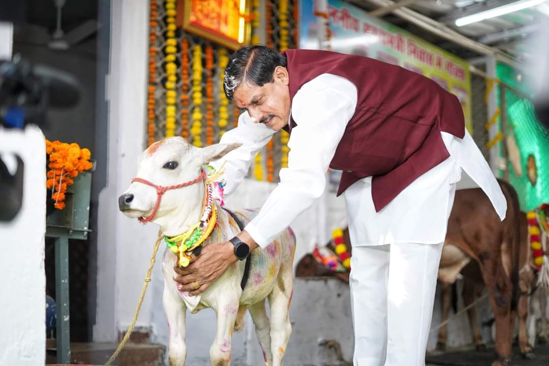 MP First Hitech Cow Shed in Bhopal