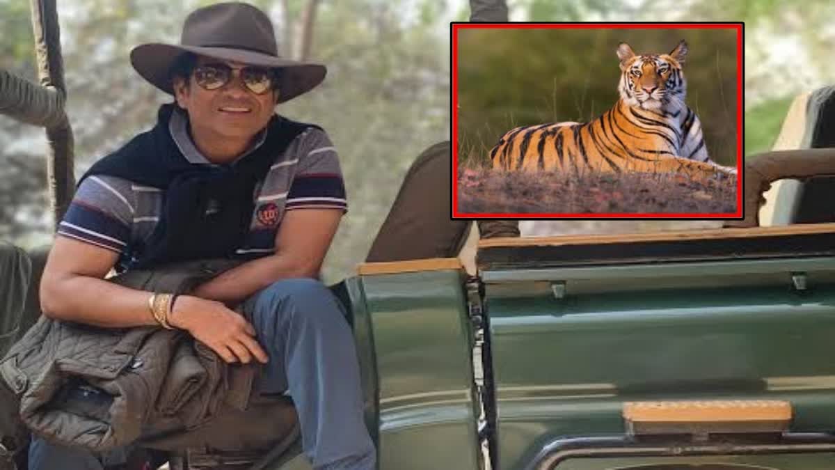 tiger safari sachin tendulkar will stay in tadoba for three days sighting of many tigers on the first day