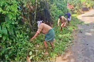 Etv Bharat Drivers Cleaned Kallar Mankulam Road  Cutting Roadside Bushes  പാതയോരത്തെ കാട് വെട്ടി മാതൃകയായി  പൊന്തക്കാട് വെട്ടിനീക്കി ഒരുസംഘം ഡ്രൈവര്‍മാര്‍  idukki road cleaning  idukki drivers  idukki news  munnar news  idukki updates  idukki latest news