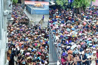 Kananapatha sabarimala  Devotees of sabarimala  devotees came to Sabarimala through Kananapatha  കാനനപാതയിലൂടെ ശബരിമല ദർശനം  ശബരിമല കാനനപാത  ശബരിമല പത്തനംതിട്ട  Sabarimala Pathanamthitta  sabarimala news  SABARIMALA HELTH HELP LINE  health department sabarimala  Sabarimala Sannidhanam Ayyappadarshan  ശബരിമല സന്നിധാനം  ശബരിമല ഭക്തർ  വനംവകുപ്പ് ശബരിമല  ശബരിമല ആരോഗ്യവകുപ്പ്