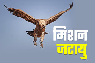 jatayu campaign to save vultures