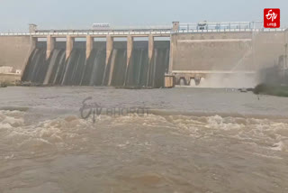 Vaigai Dam Water Open