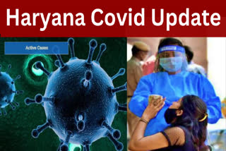 Covid 19 case in haryana