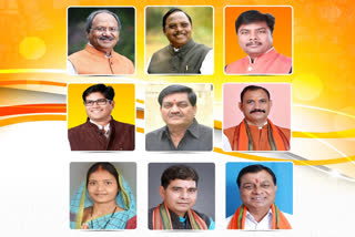 Vishnudev Sai Cabinet