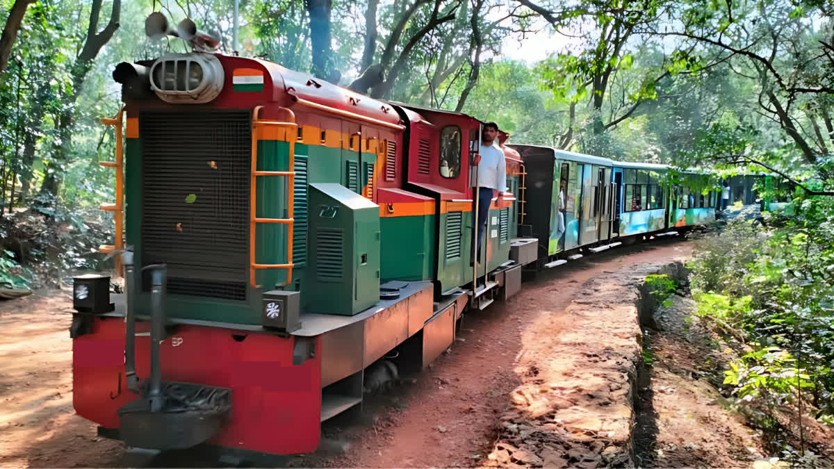 Patna Zoo Toy Train