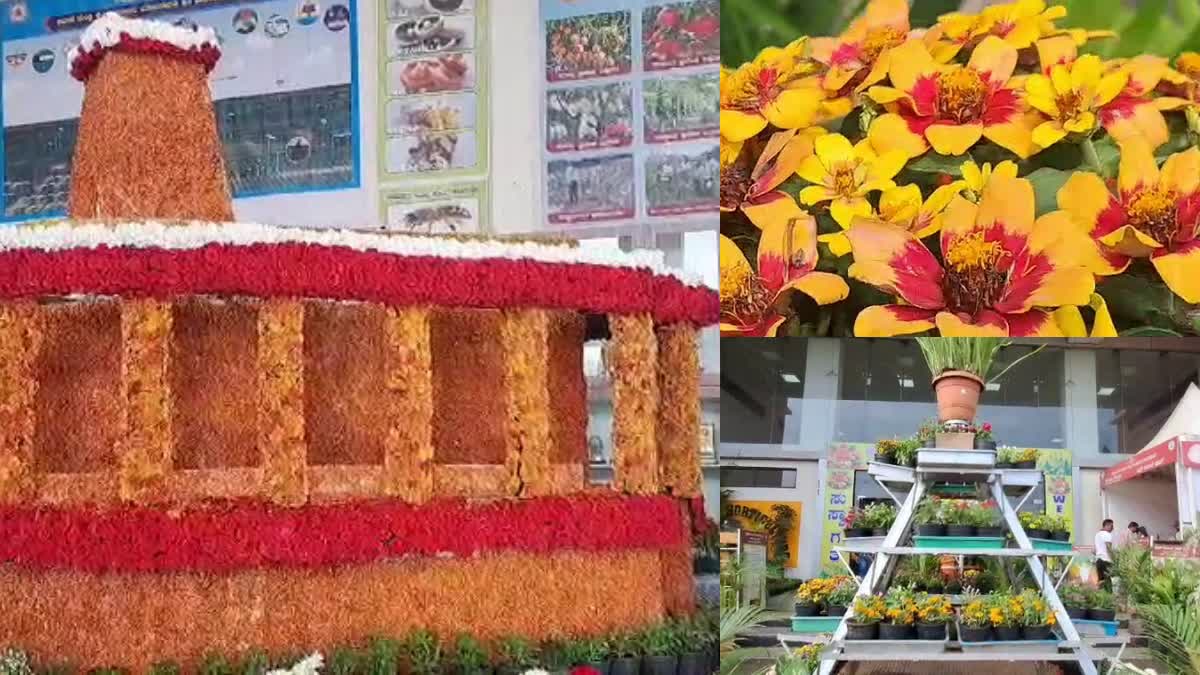 BAGALKOTE  13TH HORTICULTURE FAIR  FRUIT AND FLOWER EXHIBITION  13ನೇ ತೋಟಗಾರಿಕಾ ಮೇಳ