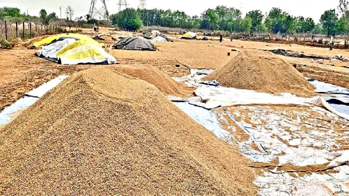 CMR Grain Smuggling in Mahabubnagar